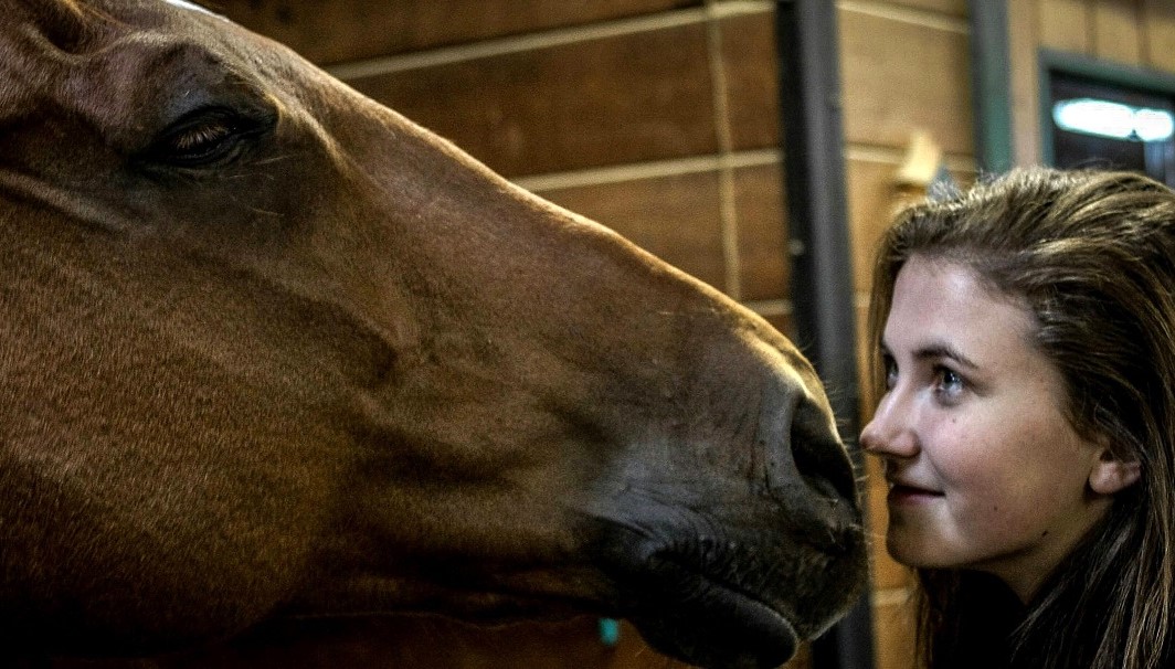 philippe-collard-qFhFM5CTiDs-unsplash